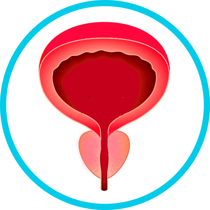 Prostatitisaren prebentzioa